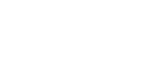 Playa Film Festival 2025 Official Selection